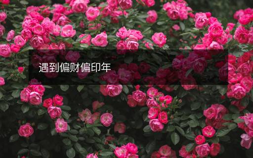 遇到偏財(cái)偏印年
