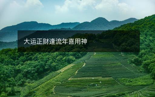 大運正財逢流年喜用神
