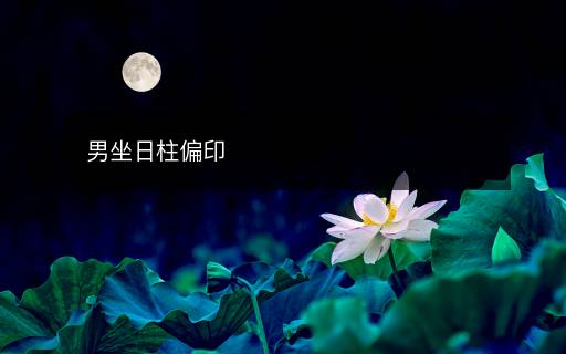 男坐日柱偏印