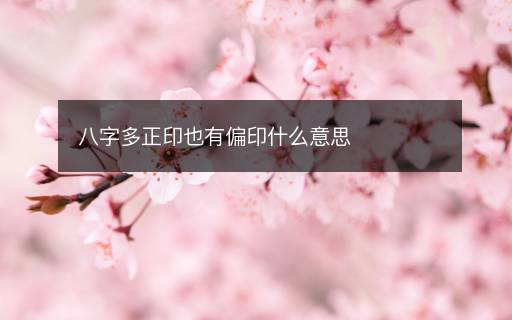 八字多正印也有偏印什么意思