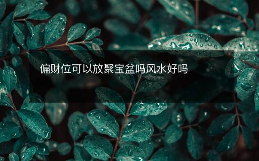 偏財(cái)位可以放聚寶盆嗎風(fēng)水好嗎