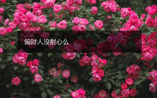 偏財(cái)人沒(méi)耐心么