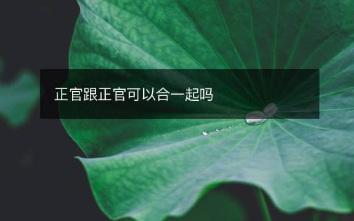 正官跟正官可以合一起嗎