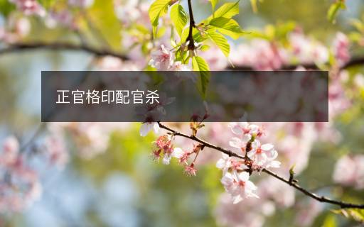 正官格印配官殺