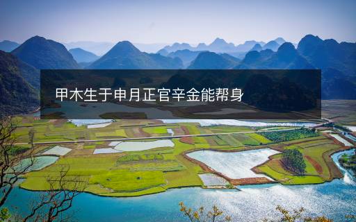甲木生于申月正官辛金能幫身