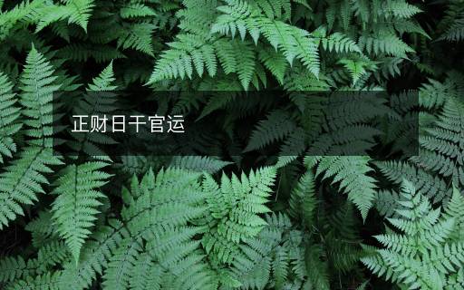 正財(cái)日干官運(yùn)