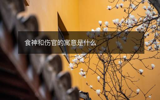 食神和傷官的寓意是什么