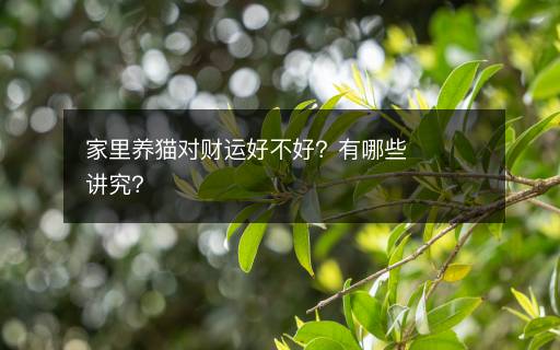 家里養(yǎng)貓對財運好不好？有哪些講究？