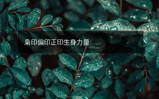 梟印偏印正印生身力量