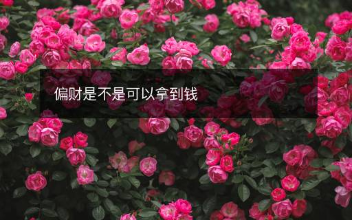 偏財(cái)是不是可以拿到錢