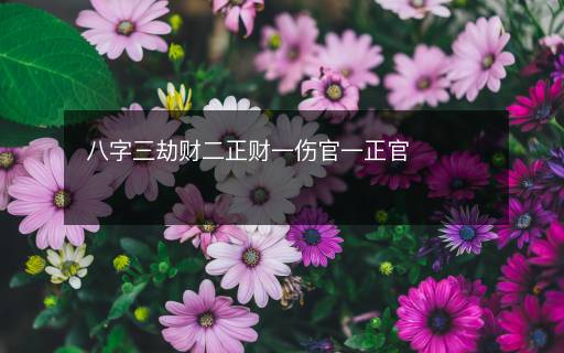 八字三劫財二正財一傷官一正官