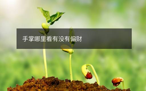 手掌哪里看有沒有偏財