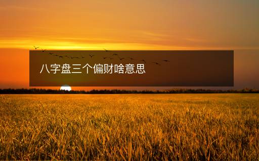 八字盤三個偏財啥意思