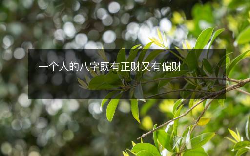 一個人的八字既有正財又有偏財