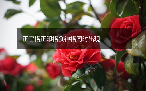 正官格正印格食神格同時(shí)出現(xiàn)