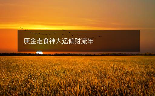 庚金走食神大運(yùn)偏財(cái)流年