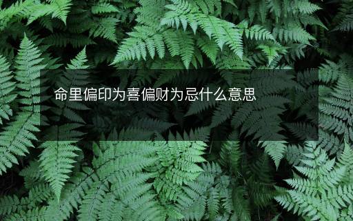 命里偏印為喜偏財為忌什么意思