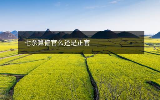 七殺算偏官么還是正官