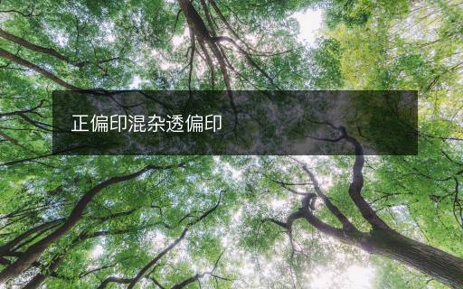 正偏印混雜透偏印