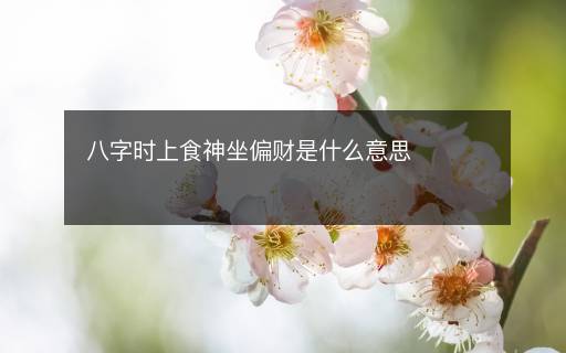 八字時上食神坐偏財是什么意思