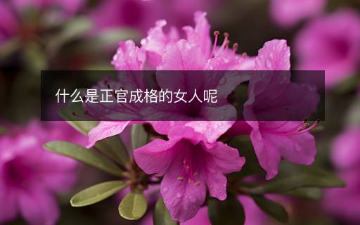 什么是正官成格的女人呢