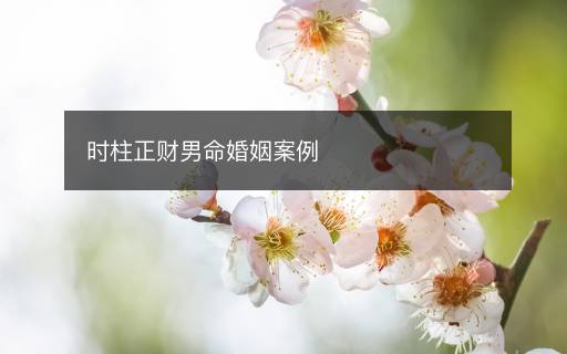 時(shí)柱正財(cái)男命婚姻案例