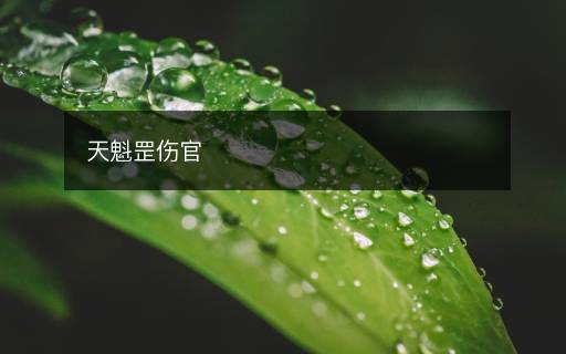 天魁罡傷官