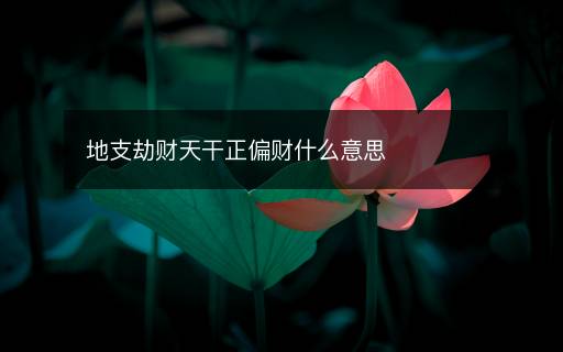 地支劫財(cái)天干正偏財(cái)什么意思