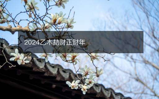 2024乙木劫財正財年