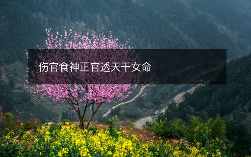 傷官食神正官透天干女命
