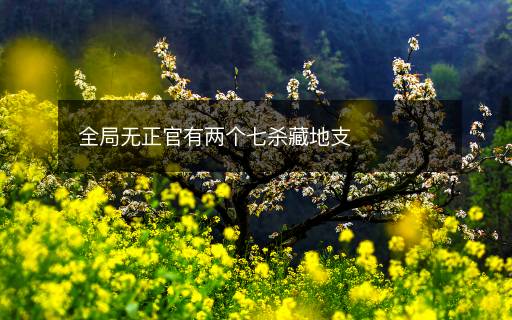 全局無(wú)正官有兩個(gè)七殺藏地支