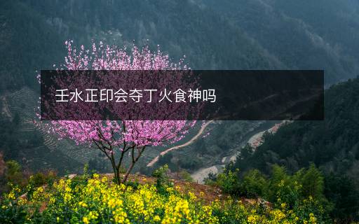 壬水正印會(huì)奪丁火食神嗎