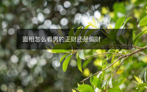 面相怎么看男的正財還是偏財
