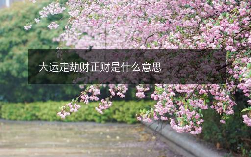 大運走劫財正財是什么意思