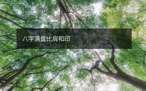 八字滿盤(pán)比肩和印