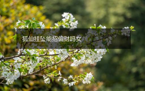 狐仙掛墜能招偏財(cái)嗎女