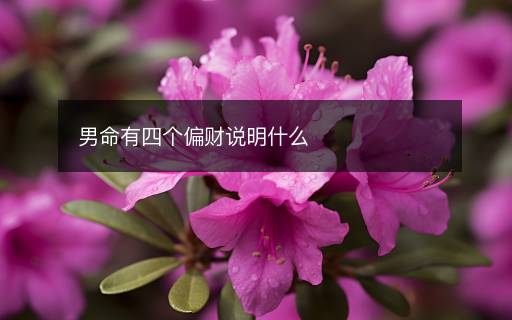 男命有四個(gè)偏財(cái)說(shuō)明什么