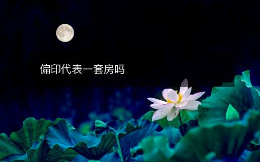 偏印代表一套房嗎