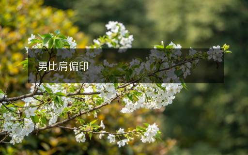 男比肩偏印