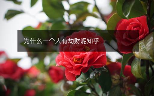 為什么一個人有劫財呢知乎