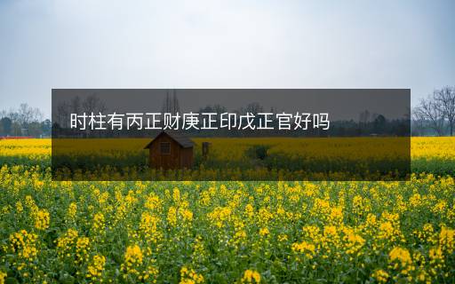 時(shí)柱有丙正財(cái)庚正印戊正官好嗎