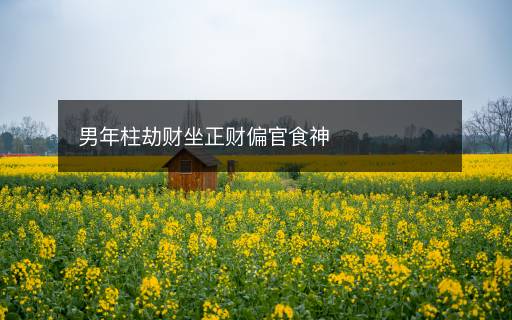 男年柱劫財坐正財偏官食神