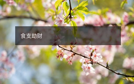 食支劫財