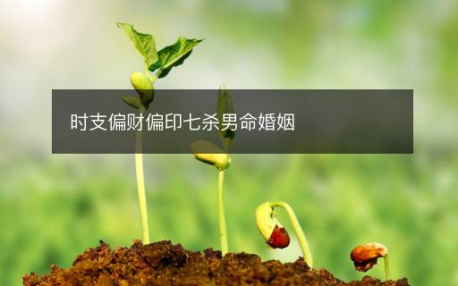 時(shí)支偏財(cái)偏印七殺男命婚姻