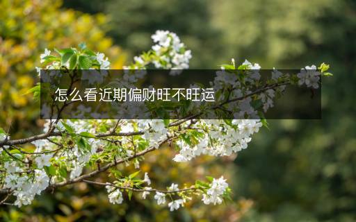 怎么看近期偏財(cái)旺不旺運(yùn)