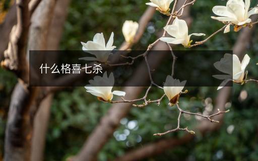 什么格喜七殺