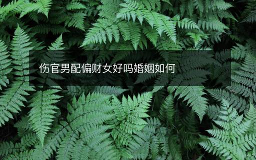 傷官男配偏財女好嗎婚姻如何