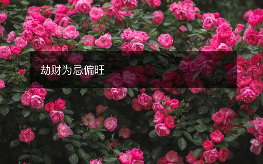 劫財(cái)為忌偏旺