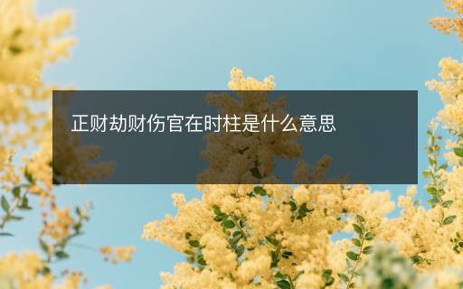 正財(cái)劫財(cái)傷官在時(shí)柱是什么意思