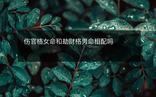 傷官格女命和劫財格男命相配嗎
